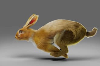 realistic fur 3d animal model, 3d creature with xgen hair, 3d animal animation