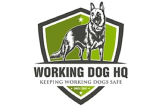 design express powerful working dogs safe logo