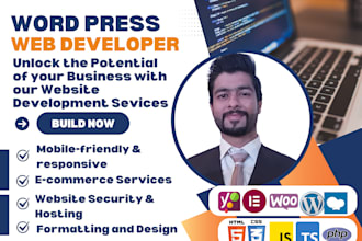 develop and design business portfolio and e commerce website with seo