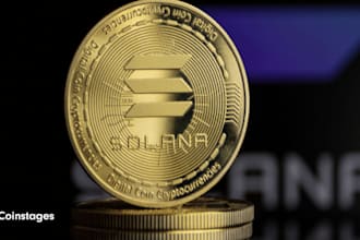 develop solana meme coin, solana meme coin website,solana token ton coin website