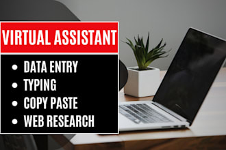 do data entry, typing, copy paste, and admin support