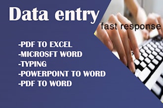professional typist and data entry