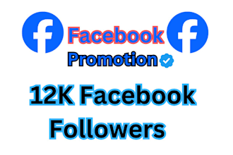 add your 2000 facebook like, followers organically