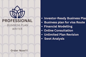 craft a business plan with marketing and financial model