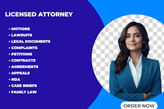 draft legal motions, lawsuits, complaints, petitions, legal appeal, case briefs