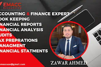 do accounting and finance, bookkeeping,financial analysis and reports,statements
