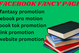 run facebook promotion campaigns for your niche audience