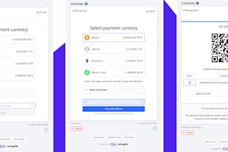 setup and integrate a secure crypto payment 3d payment high risk payment gateway