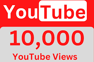do add 1000 youtube views, followers watch time for monetization