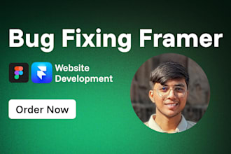 fix any bugs or responsive issues on your framer website