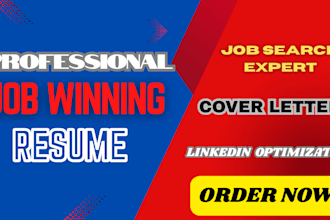craft a pro resume for executive, government, federal and usajob level