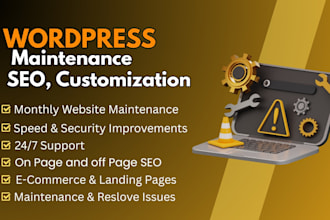 do monthly wordpress maintenance, help