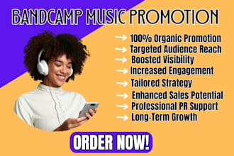 do bandcamp organic music promotion and playlist pitch to real targeted audience