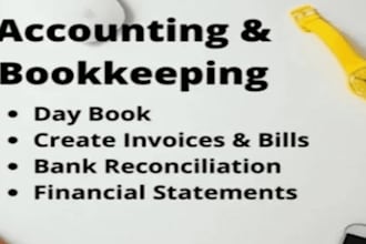 provide professional audit and accounting services