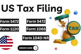 prepare and file your US individual or business tax return 1040, 1065, 1120