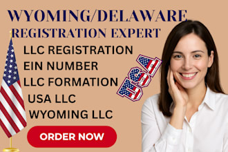 set up your USA llc, llc registration, wyoming llc, ein, formation support