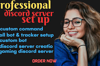 custom discord server setup, admin, bots  personalization