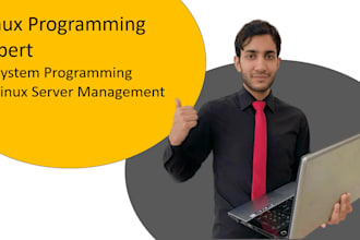 custom linux programming and shell scripting