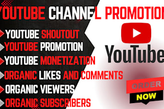do youtube channel promotion, yt video growth, you tube shoutout to 10m viewers