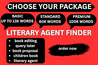 critique your novel and literary agent query package