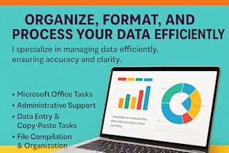 be your professional virtual assistant for admin and data tasks