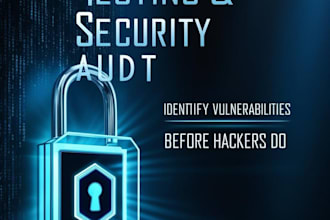 perform penetration testing and vulnerability assessment