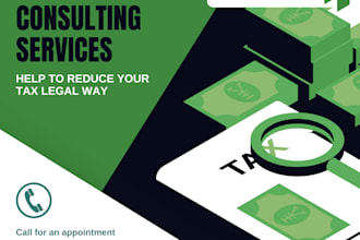 be provide tax consultancy to individual and small business