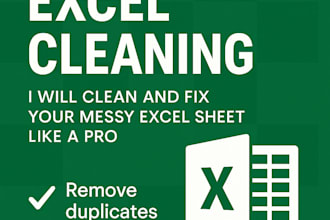 professionally ms excel data clean