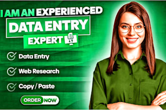 do excel data entry copy paste and web research
