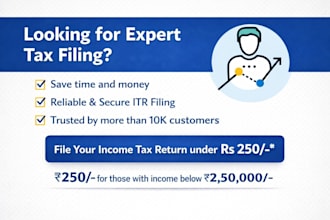 fillied your income tax return expert way