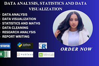 do statistics,maths,data analysis,data visualization in spss,tableau,r,sas,excel