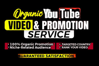 do super fast organic youtube video promotion and marketing by social media