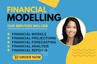 provide investor ready financial projections, forecasts and financial model