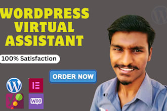 wordpress virtual assistant for website maintenance speed and SEO support