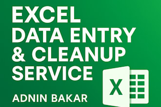 do excel data entry and file conversion