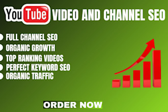be your youtube SEO expert and channel monetization for video ranking