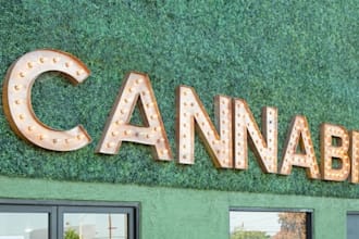 do cbd promotion, telegram advertise, weed, cannabis, marijuana marketing,