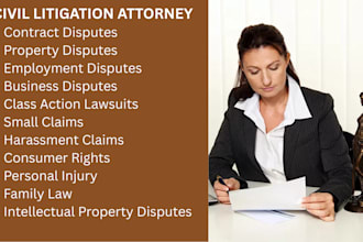 be your civil litigation lawyer, assisting with lawsuits, motions, and complaint