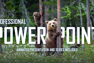 design powerpoint template, redesign your powerpoint presentation, pitch deck