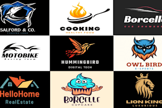 design, redesign, fix, edit, modify or vectorize your logo