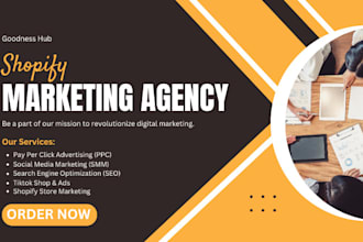 be social media manager and shopify dropshipping marketing