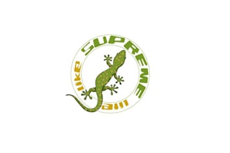 design unique cool toys logo