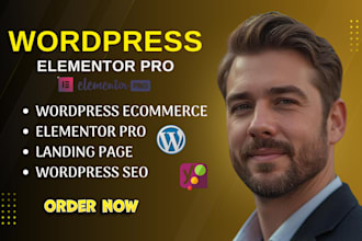 build wordpress elementor pro website design wordpress woocommerce webshop SEO