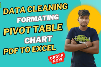 create pivot table, formatting, data cleaning, pdf to excel