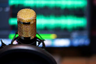 record a professional male voice over or dubbing in high quality