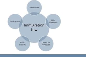 provide matters law and immigration expertise