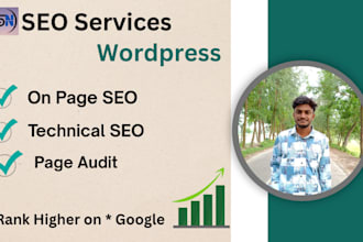 do on page , technical SEO and page audit for higher rank