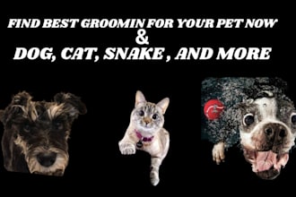 recommend the best groomers tools and care for your pet