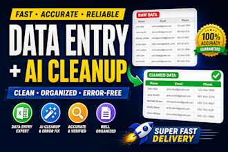 do accurate data entry, excel cleanup, formatting and ai data cleaning