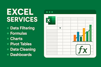 any excel job like excel automation analyze editing correction and more